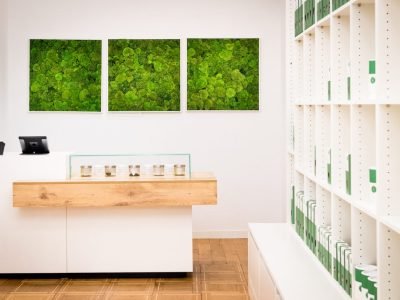 Hanf-Apotheke-Bern-6-von-17-3 Hanf-Apotheke-Bern-6-von-17-3